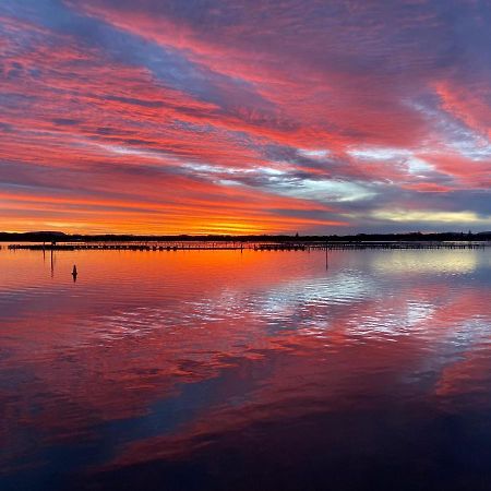 Sunrise Luxury Apartments Forster Esterno foto